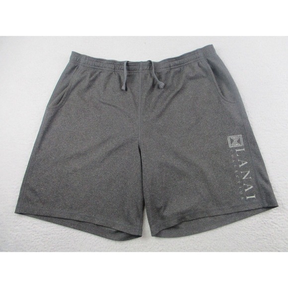 Alo Shorts Mens XL‎ Gray Drawstring Pockets Athleisure Activewear Gym Lanai - Picture 1 of 10